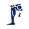 Knee, Shoulder, Back Pain